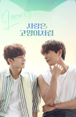 Дорама Любовь подобна кошке онлайн