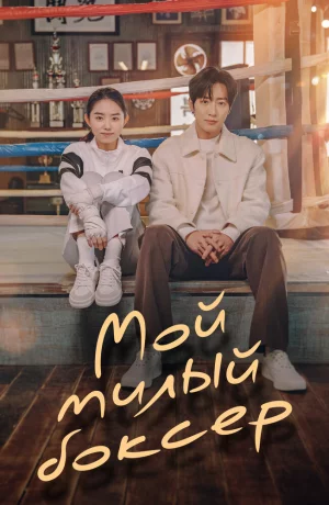 Дорама Мой милый боксёр онлайн