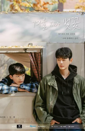 Дорама Цветение вишни после зимы онлайн