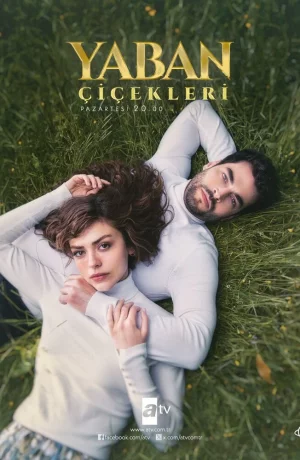 Дорама Дикие цветы онлайн