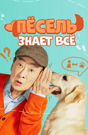 Дорама Пёсель знает всё онлайн